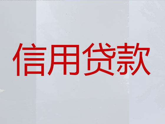 文山本地贷款中介公司